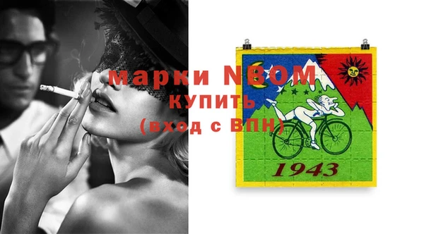 шишки Коряжма