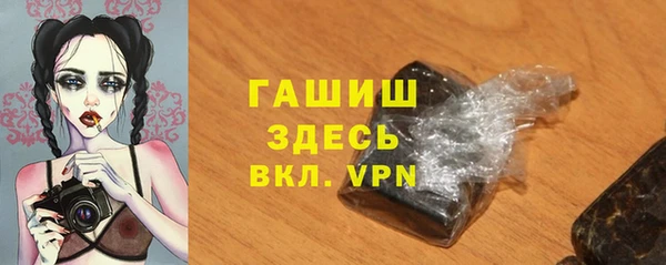 спайс Корсаков