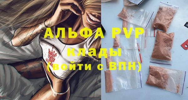 шишки Коряжма