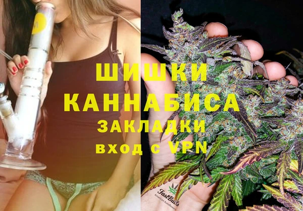 спайс Корсаков