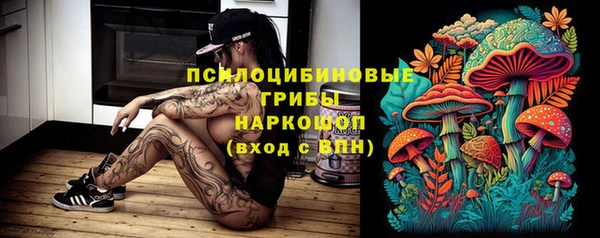шишки Коряжма