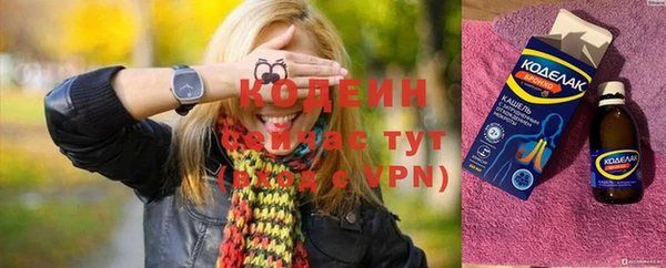 шишки Коряжма